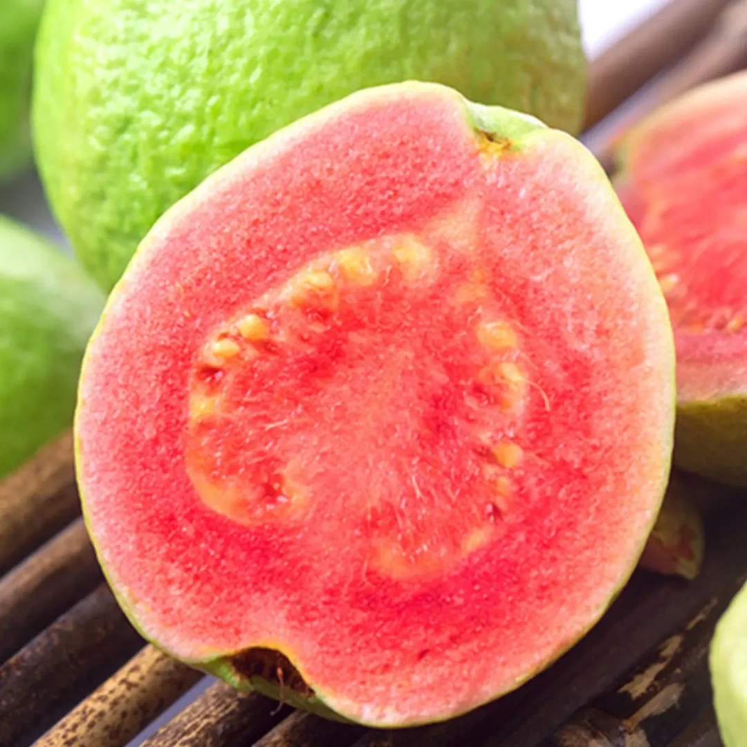 广西白心脆甜红心软心番石榴正宗芭乐苗盆栽地种白心苹果脆