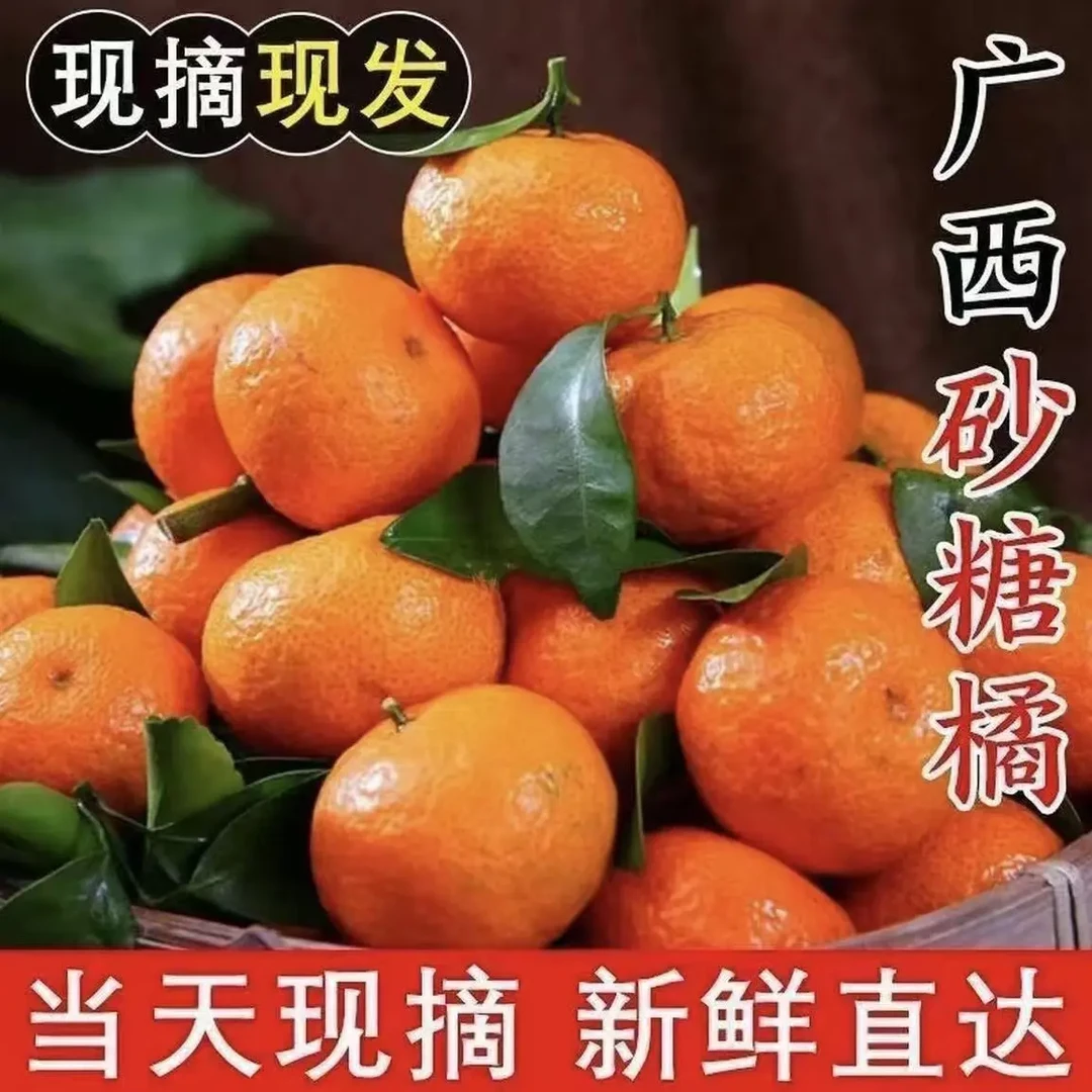【当季爆甜】现摘正宗广西砂糖橘当季新鲜水果沙糖桔子薄皮砂糖桔
