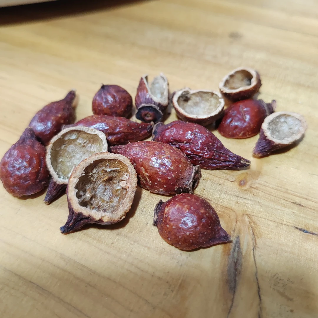 精挑细选干净新鲜野生的金樱子可泡水可泡酒