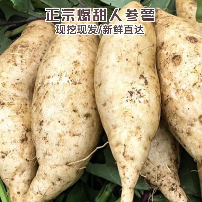 白皮白心人参薯板栗地瓜新鲜小白香红薯桥头现挖番薯鸡蛋黄蜜薯粉