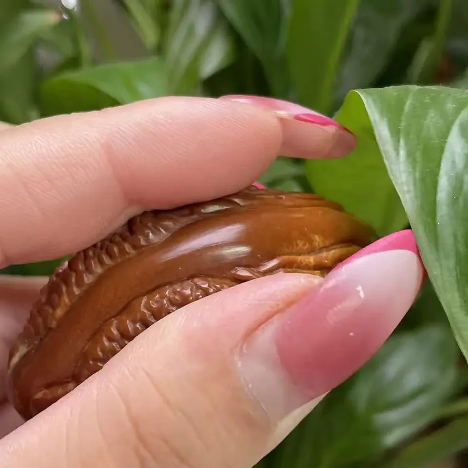 巴西大橄榄带阳手把件大尺寸