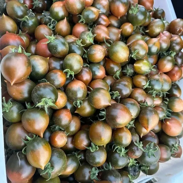 联安本地草莓小番茄新鲜多汁水果