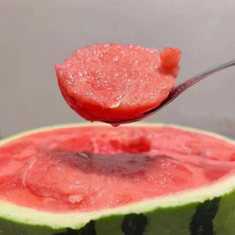 麒麟西瓜软白籽脆甜多汁4-9斤  顺丰包邮次日达新鲜