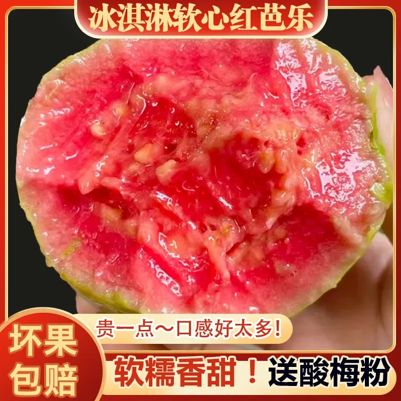 【顺丰包邮】福建红心白心双拼精选老软糯香甜奶油番石榴当季水果.
