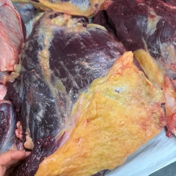 福利肉  呼伦贝尔散养 新鲜现切 草饲 清真黄膘牛肉