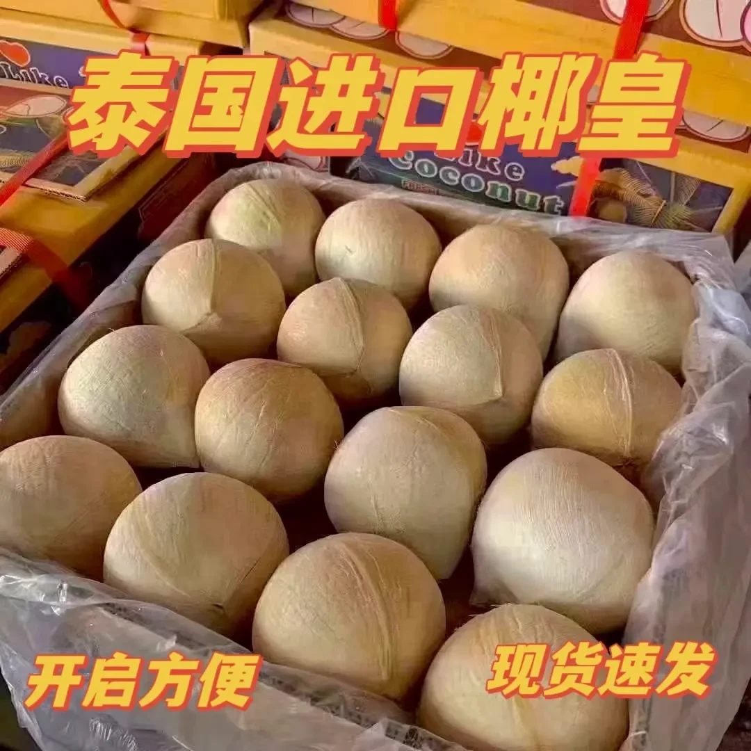 【6颗装】泰国进口牛奶椰皇【400-450g/颗】当季水果整箱椰子应季水果