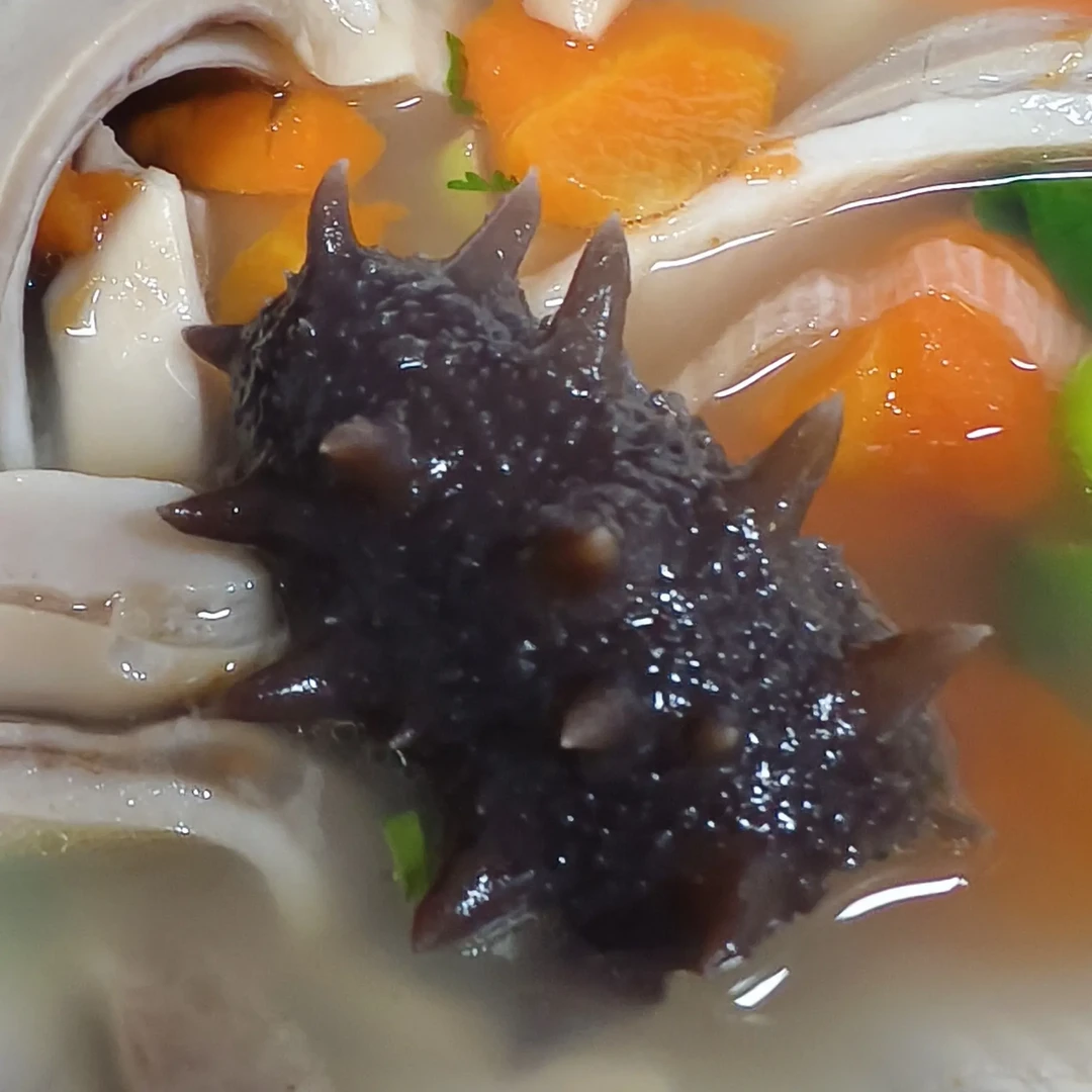 10-12头辽参渤海湾刺参 即食海参手工泡发（非工厂货）零添加放心食