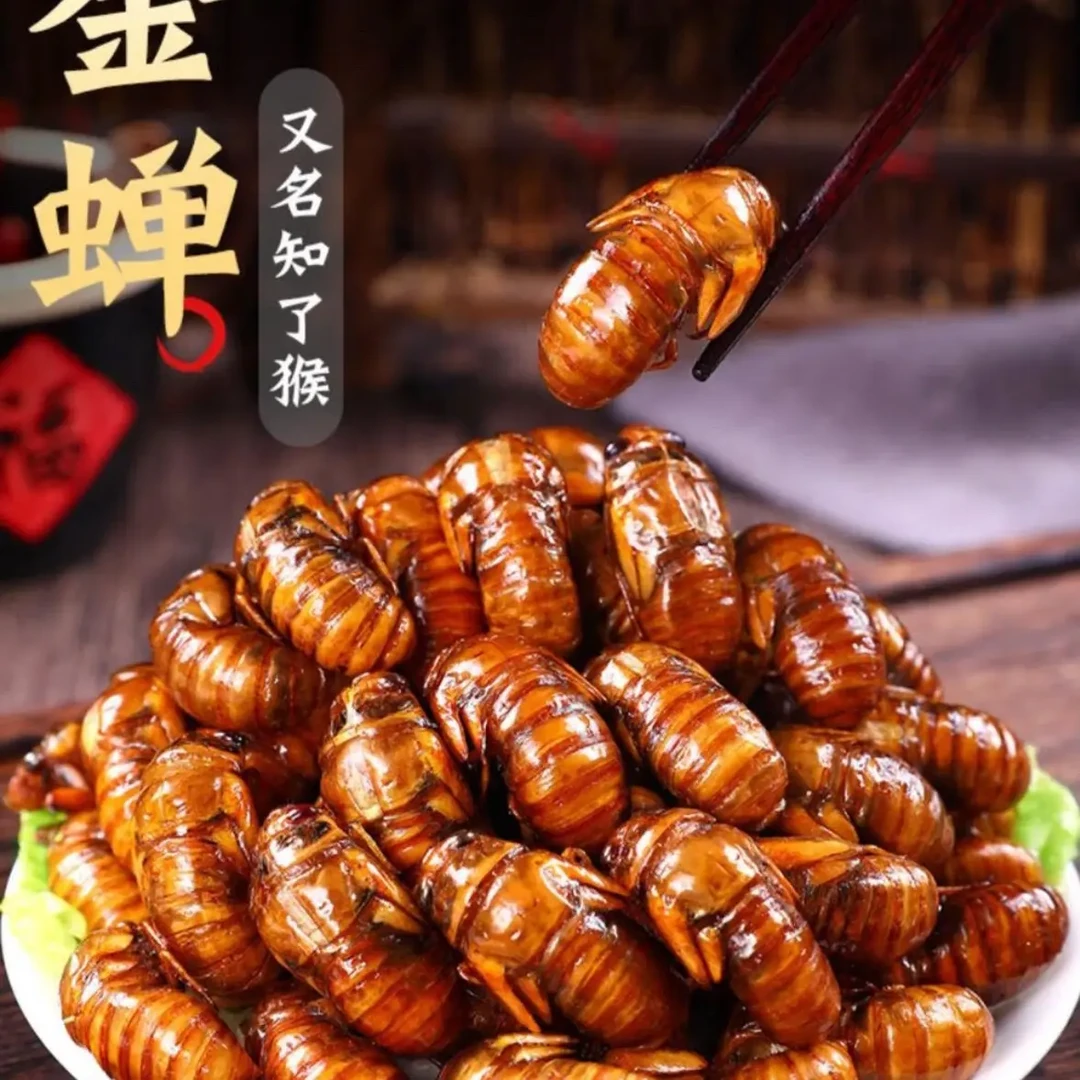 大个头 山东梨园大金蝉 知了猴 油炸爆香 顺丰包邮