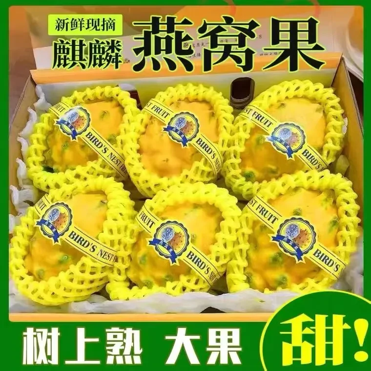 【顺丰】燕窝果大果新鲜麒麟果海南水果云南黄色应季孕妇火龙果礼盒