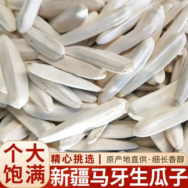 生葵花籽大颗粒牙签白瓜子新疆特产炒熟长粒原味散装马牙白皮瓜子