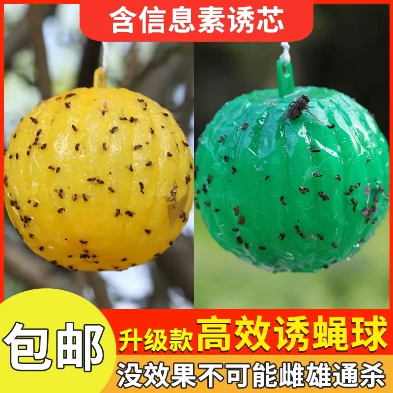 果蝇诱虫球针蜂引诱剂诱蝇球柑橘大实蝇诱捕球瓜果实蝇粘虫球针蜂