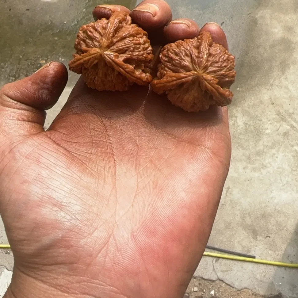 经典四座楼狮子头文玩核桃原色配对精品