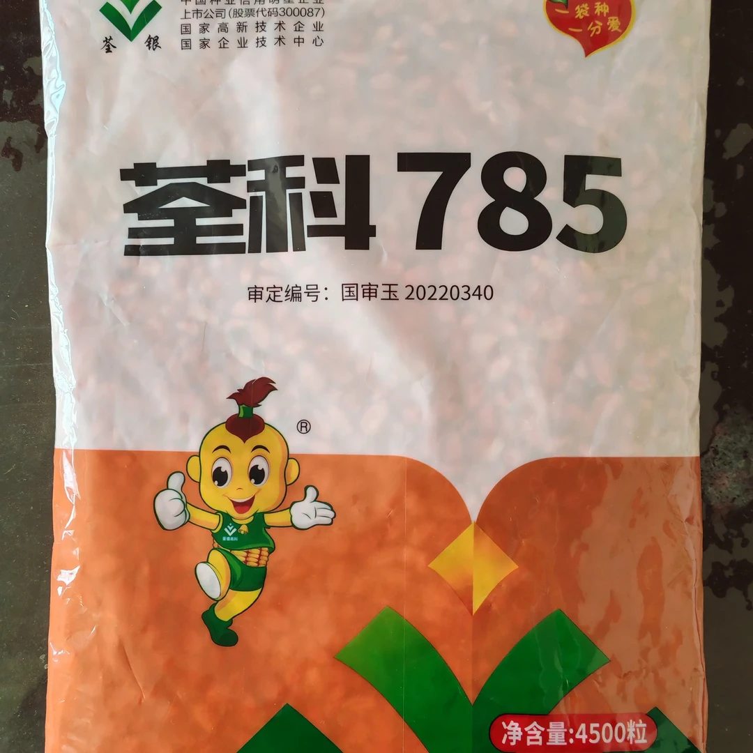 紫杆站神荃科785（拍五发六）