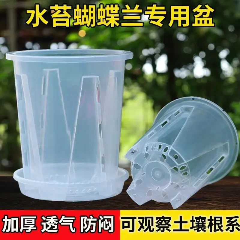 蝴蝶兰专用花盆空气柱透气控根盆新款兰科高透明花盆清仓捡漏大号