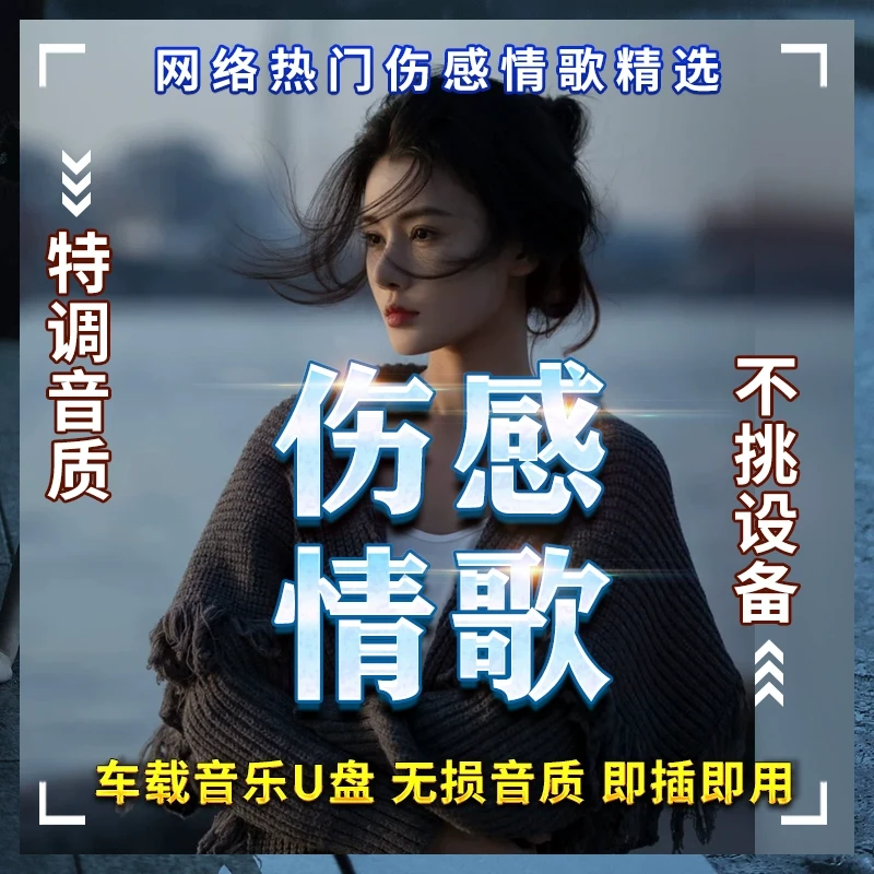 2024新款汽车载音乐u盘新歌伤感情歌流行网络歌曲无损高音质优盘