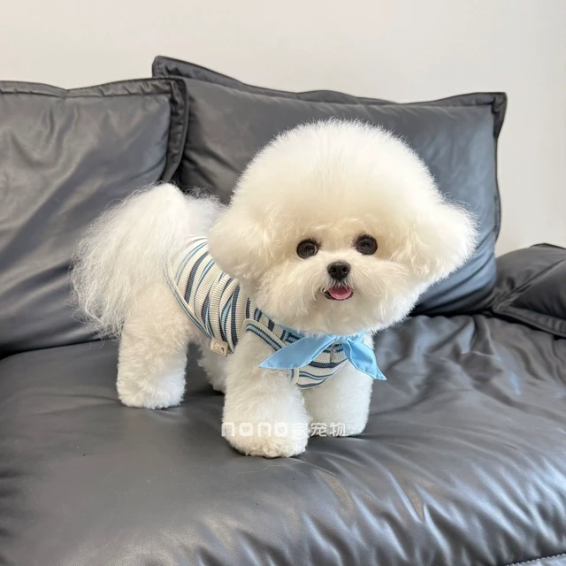 狗狗衣服春夏薄款学院风绣花条纹背心宠物猫咪比熊泰迪带牵引扣