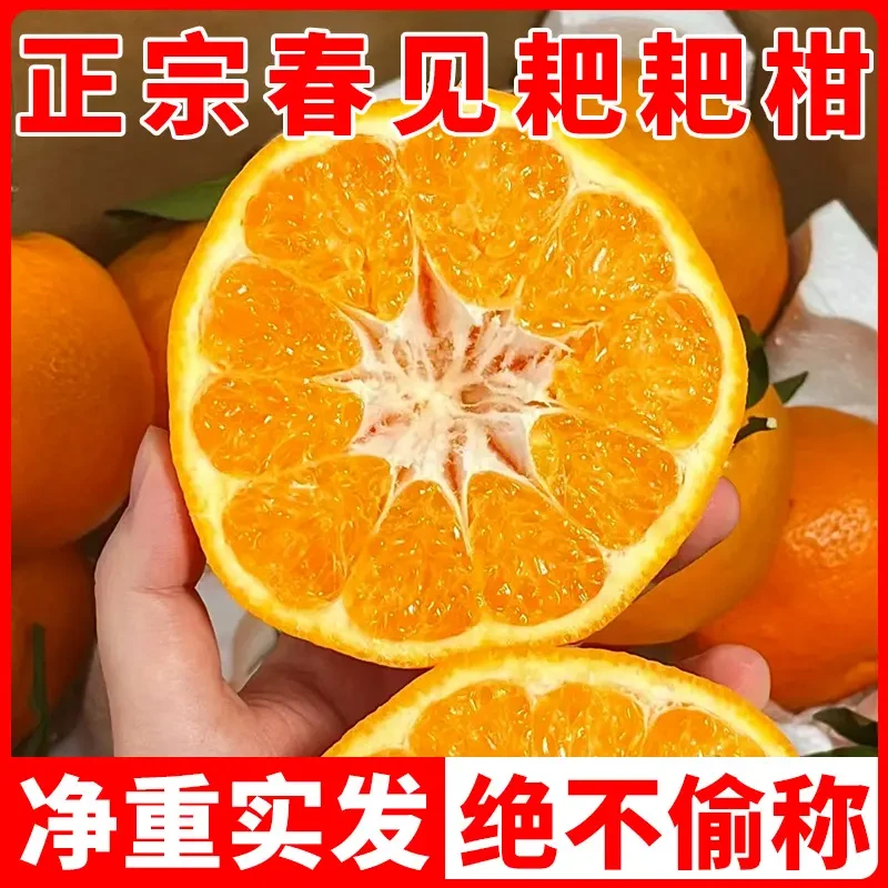 正宗四川春见耙耙柑粑粑柑当季新鲜孕妇丑水果橘子整箱包邮5-8斤