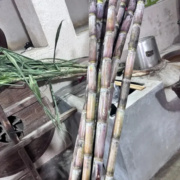 湖南脆甜甘蔗汁水十足