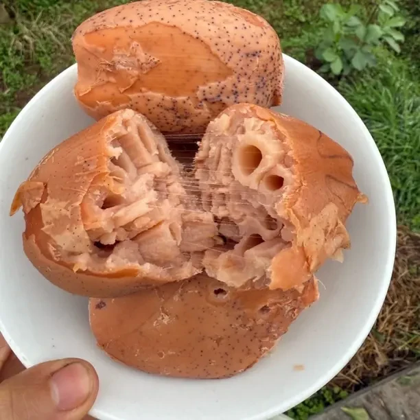 乐山本地农户自种莲藕，现挖带泥发货