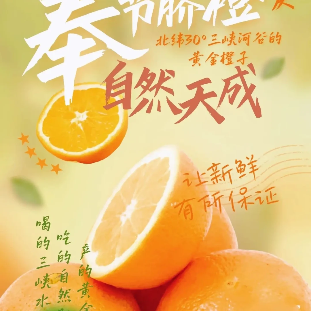 奉节脐橙纽荷尔小果70-75mm