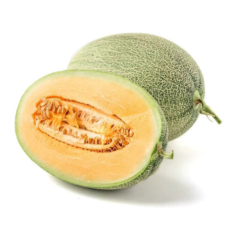 海南晓蜜25号哈密瓜 约1.4-1.6kg/个