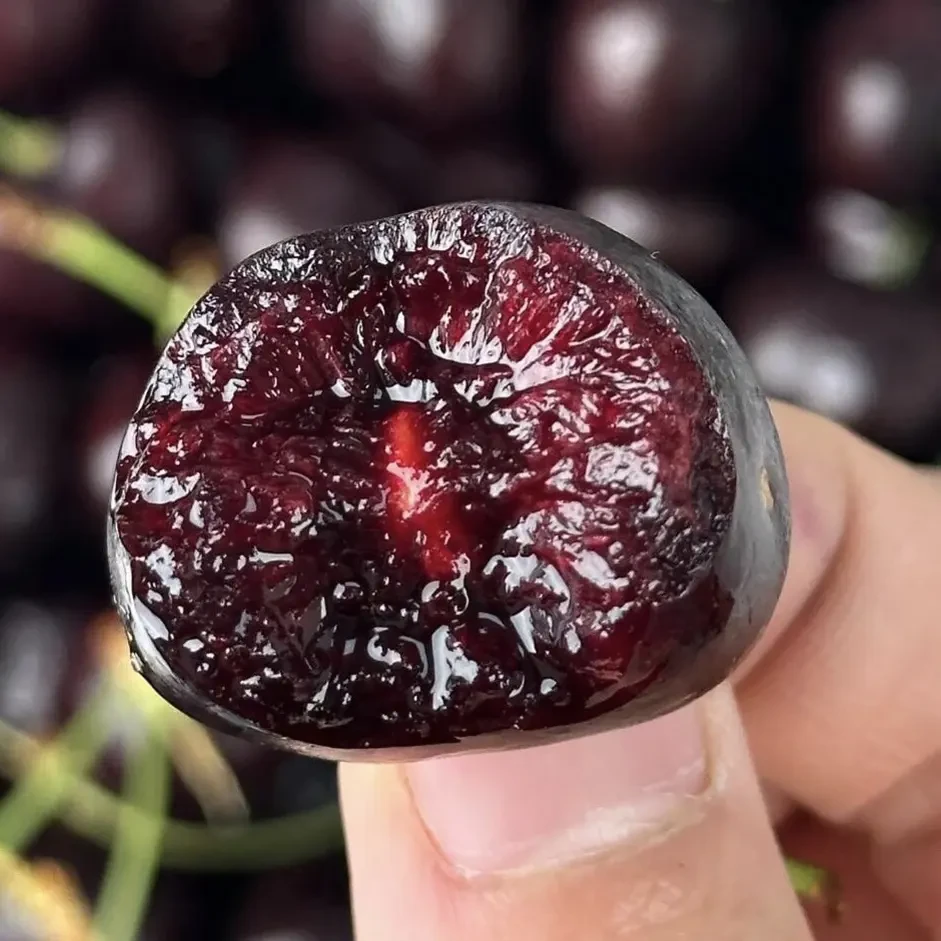 【智利车厘子】海运/JJJJ/脆甜多汁/原箱净重5斤智利