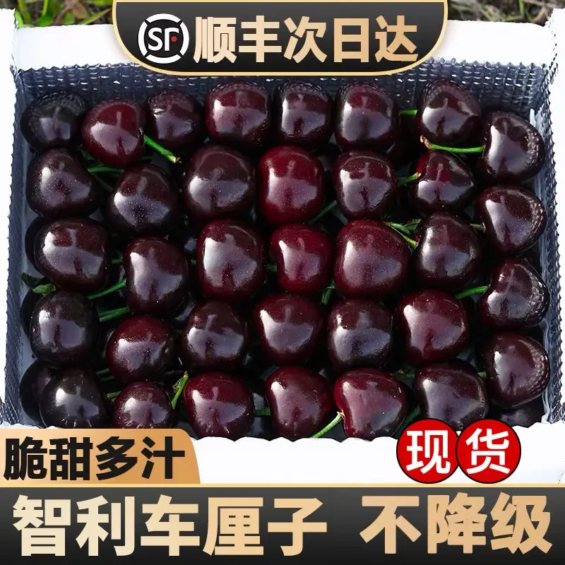 2JD加大桑提娜 五斤原箱【今天拍明天到】QX 智利空运车厘子 新鲜水果孕妇水果内附果径卡桑提娜樱桃智利共和国