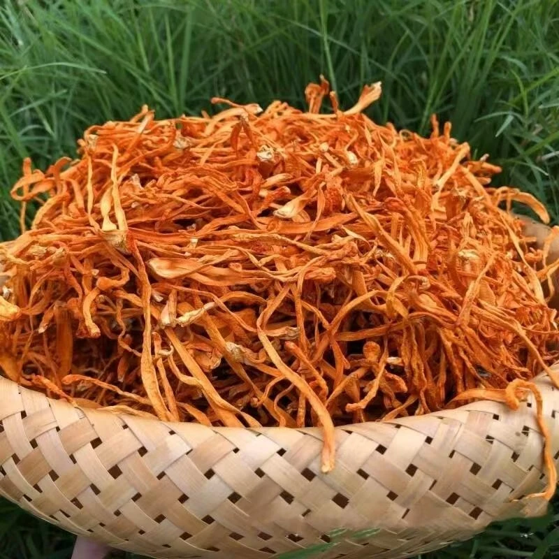 农家新货虫草花煲汤炒菜