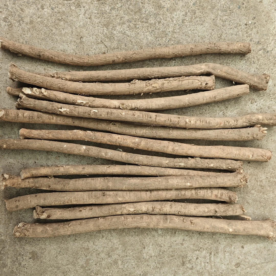 整条去头去尾新鲜无硫黄芪可煲汤泡水炖肉当季滋补鲜货