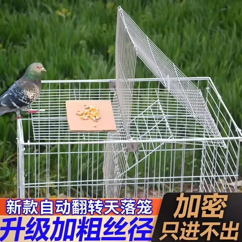 户外阳台养殖场专用鸽子笼天落笼高灵敏自动翻转加粗加密进鸽子笼
