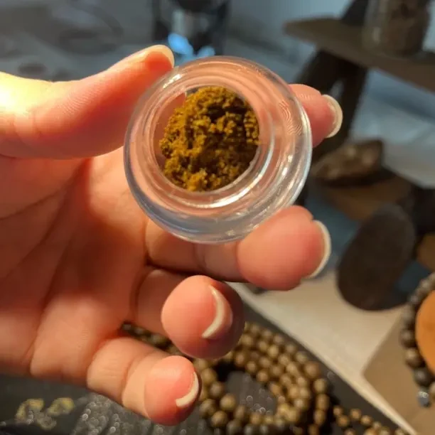 芽庄白棋粉 第一天开播拍0.1g发0.2g