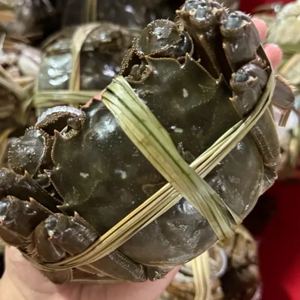【精品活蟹】江苏大闸蟹公蟹3.3-3.6两母蟹2.3-2.6两精挑8只/10只