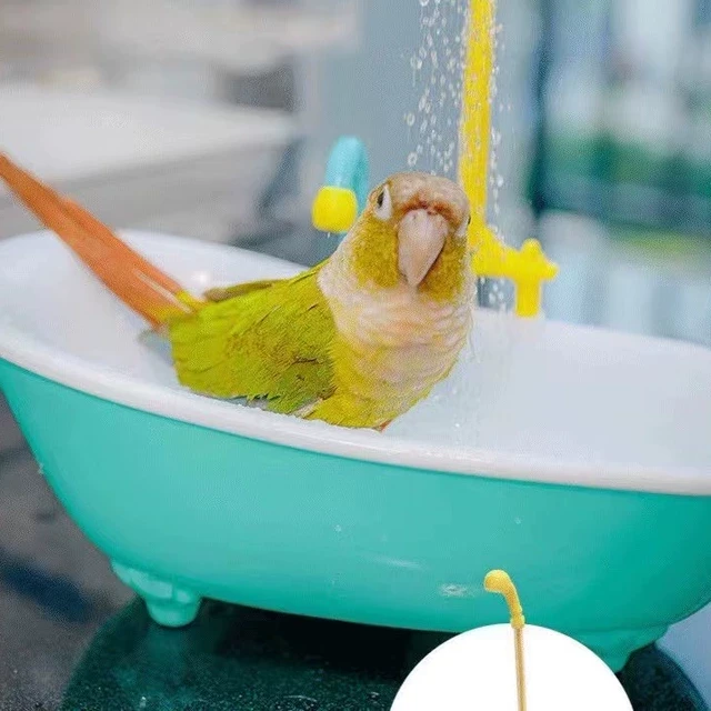 鹦鹉鸟用洗澡盆洗澡盒仿真浴缸电动玩具可淋浴牡丹玄凤新品