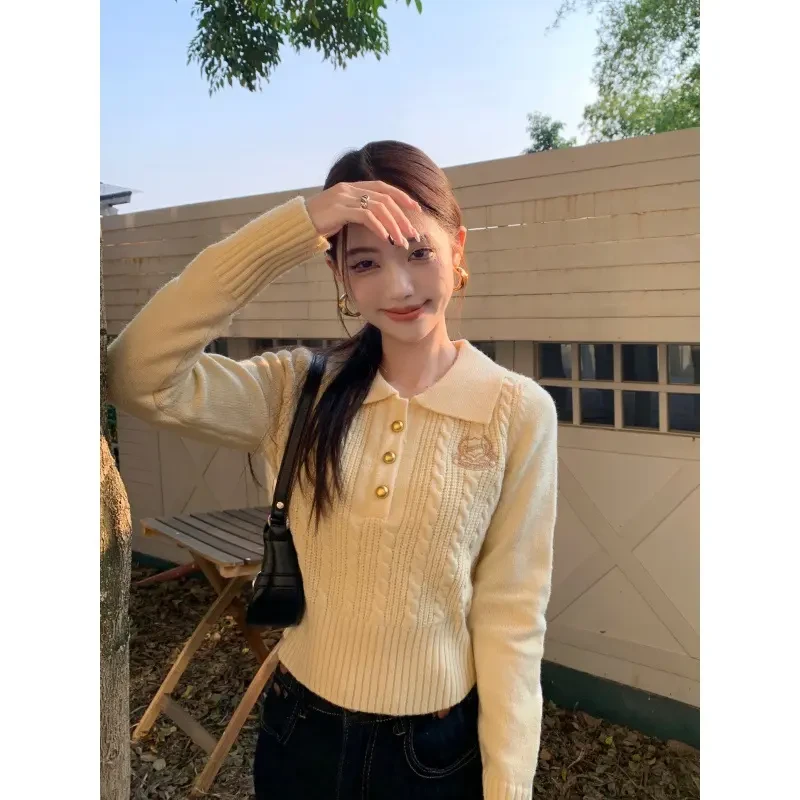 2025秋冬季学院风麻花毛衣女冬季气质正肩polo领套头针织衫上衣服