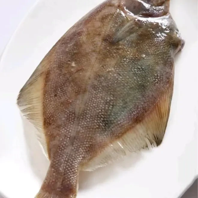 大连野生新鲜偏口鱼比目鱼四斤顺丰包邮运输导致破腹正常介意勿拍
