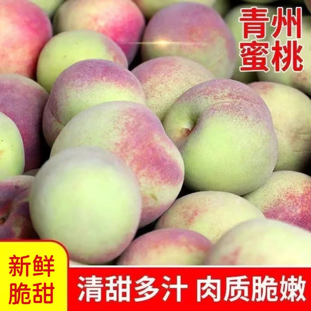正宗山东青州蜜桃青皮桃毛桃脆桃冬桃新鲜甜离核当季水果现摘包邮