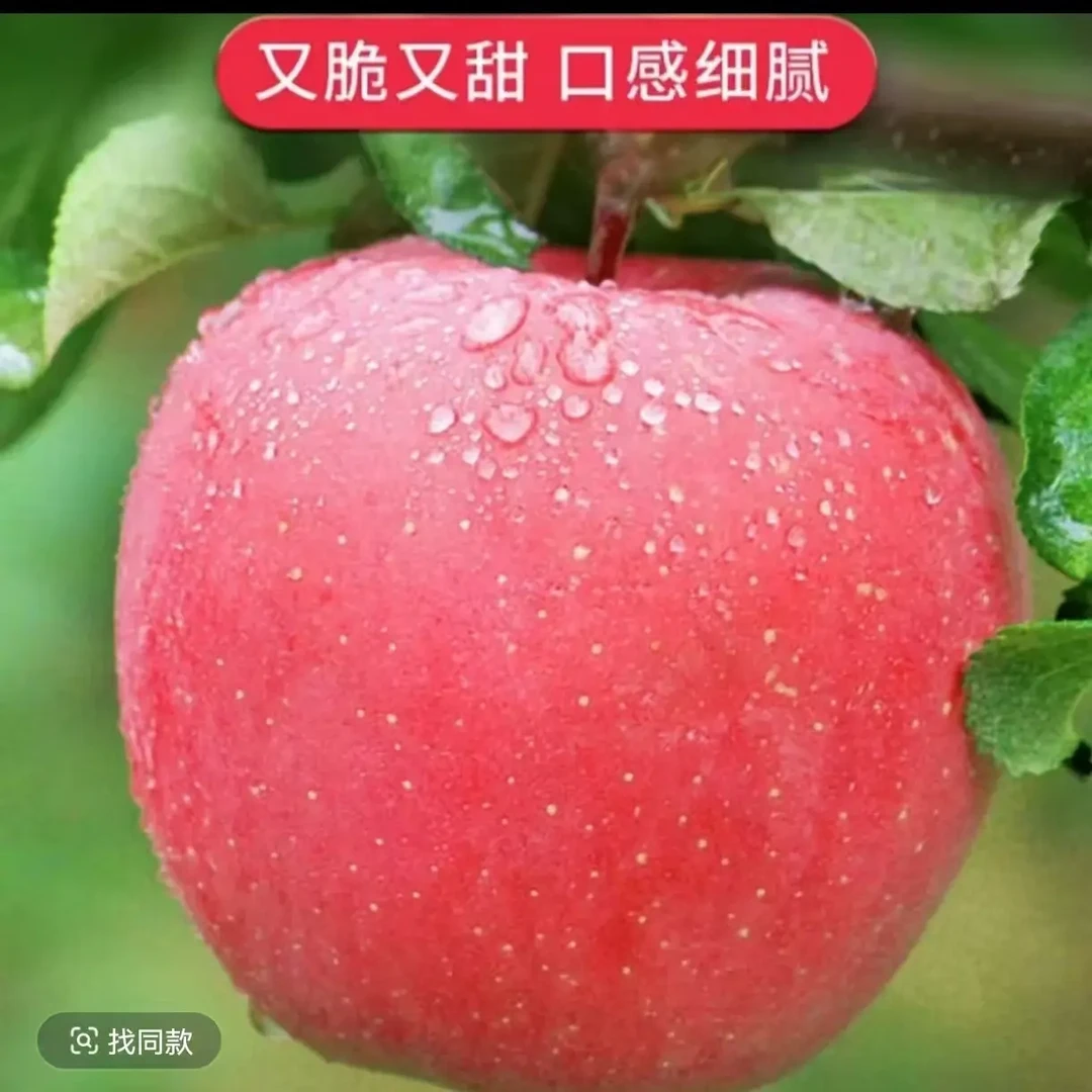 甘肃当季正宗红富士大果玉露苹果新鲜脆甜多汁冰糖心产地直发