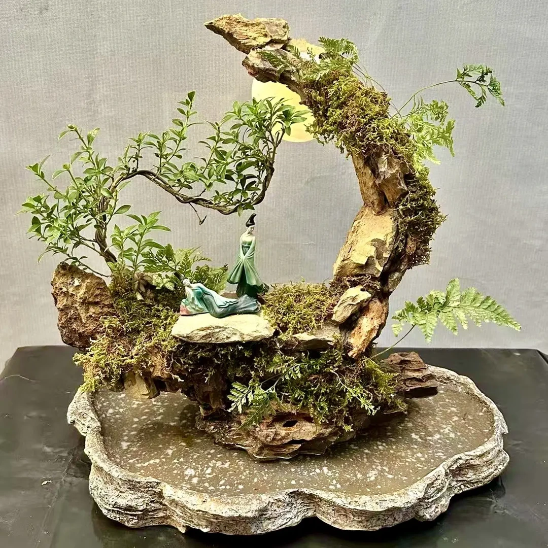 月亮型山石精品盆景