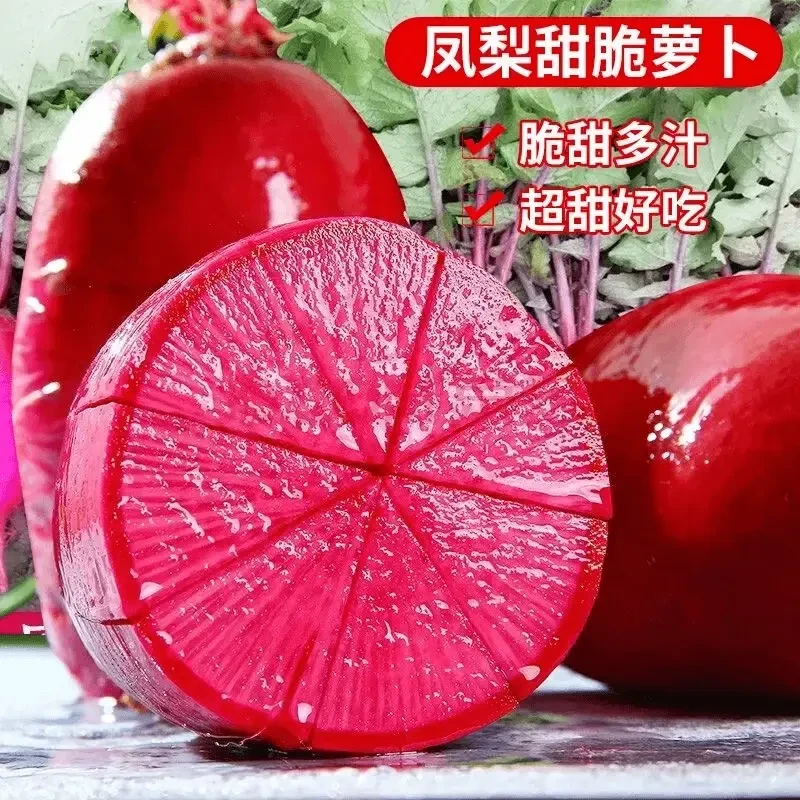 凤梨萝卜种子甜脆水果红皮红心萝卜籽阳台盆菜种子
