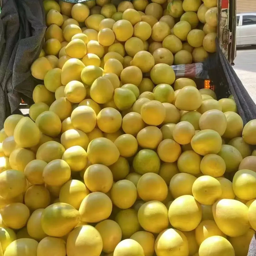 梅州客家三红蜜柚新鲜应季水果清甜多汁薄皮爆汁柚子三红柚正宗