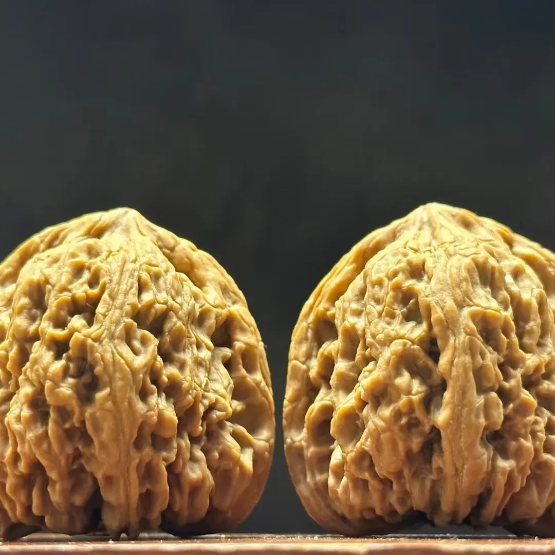 南将石2577号 喜欢的一对1:1:1三角炮弹 大粗主筋犹如蛟龙 边41.3