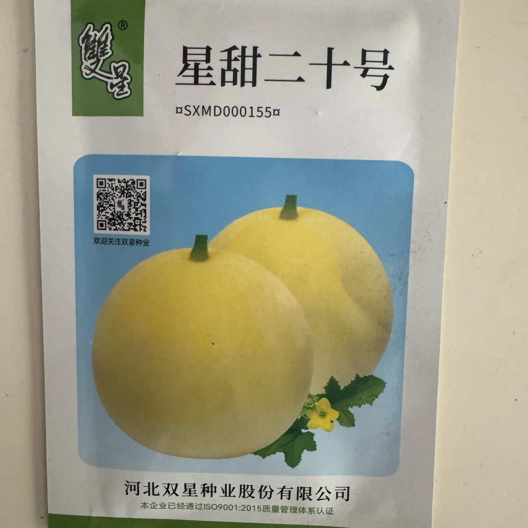 星甜二十甜瓜种子，脆甜多汁，早熟颜色好