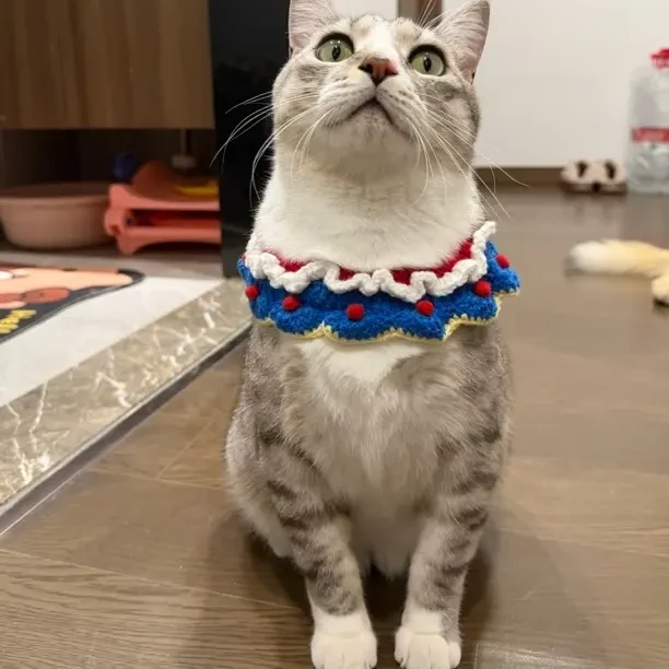 手工编织猫咪狗狗宠物围脖口水巾可爱装饰拍照用