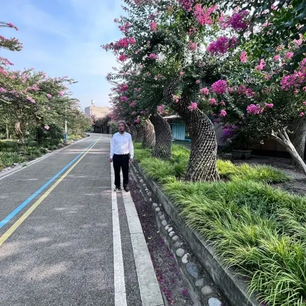 紫薇活凤凰植物编织