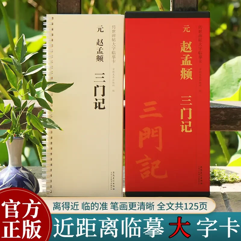 【原帖全文放大】赵孟頫三门记 近距离临摹行书大字卡 活页毛笔字帖