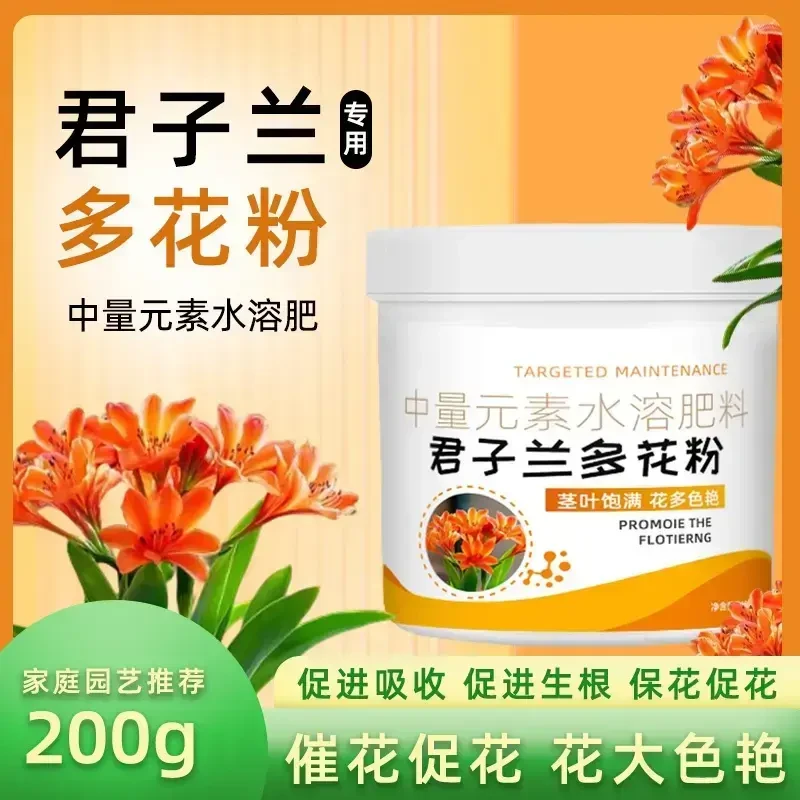 君子兰多花粉营养液叶子发黄掉叶促箭催开花免稀释