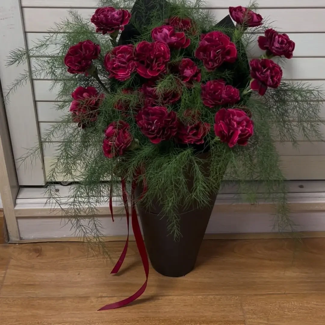 【套餐C】芦荀草＋红绸康乃馨 0度以下地区要加拍保温棉 2单升级顺丰