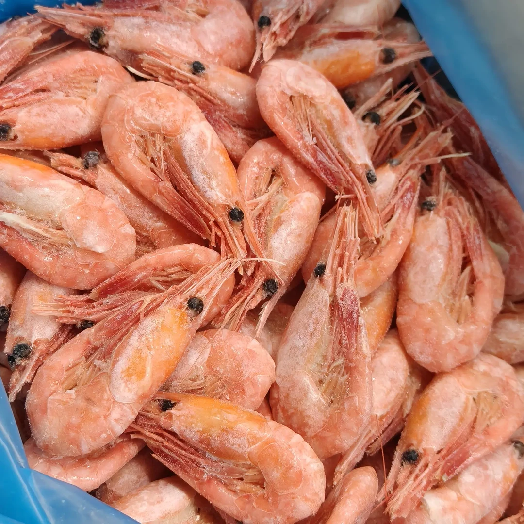 新鲜熟冻即食北极甜虾 头籽腹籽特大号50-70