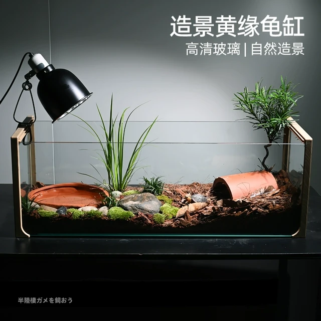 黄缘乌龟专用饲养缸乌龟生态造景别墅水陆缸安缘台缘半水龟养殖箱