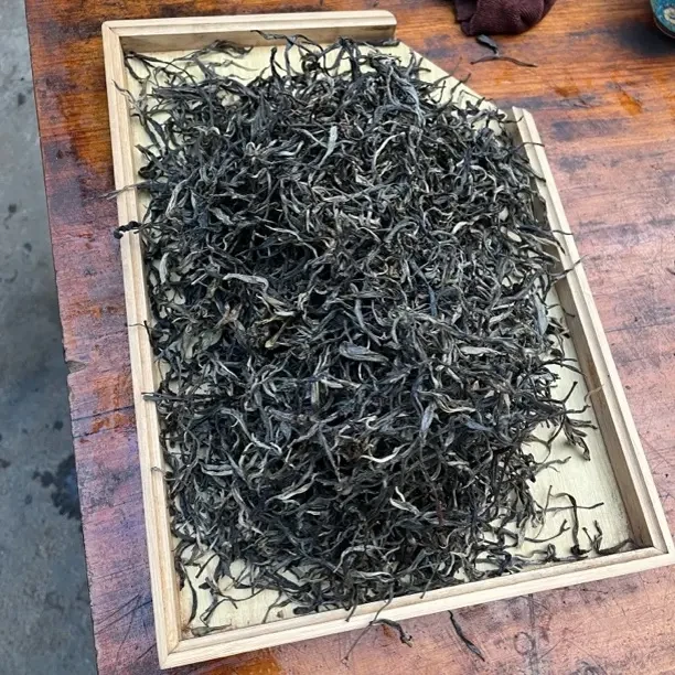 红豆树24年荒野古树